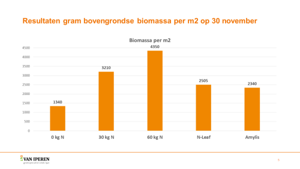 Afbeelding Stikstofbindende bacteriën
