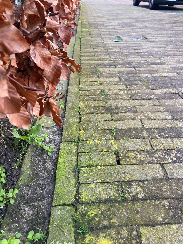 Afbeelding Groene aanslag verwijderen