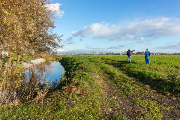 Afbeelding “Fertigatie is onze opbrengstverzekering”
