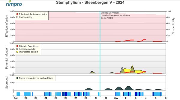 Afbeelding Zwartvruchtrot peer