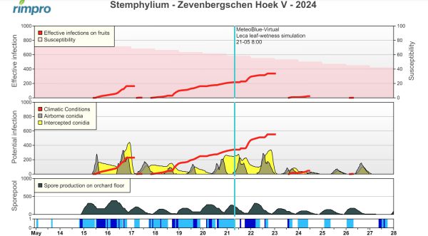 Afbeelding Zwartvruchtrot peer