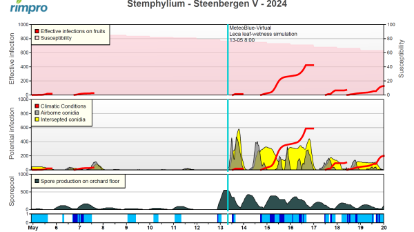 Afbeelding Zwartvruchtrot peer