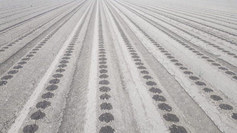 Afbeelding Fertigatiebijeenkomst | in de regio