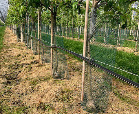 Afbeelding Fertigatie opstarten