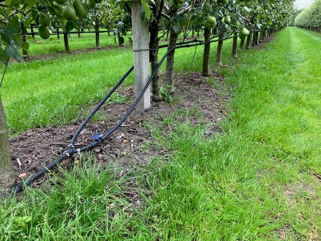 Afbeelding Watergift en bemesting