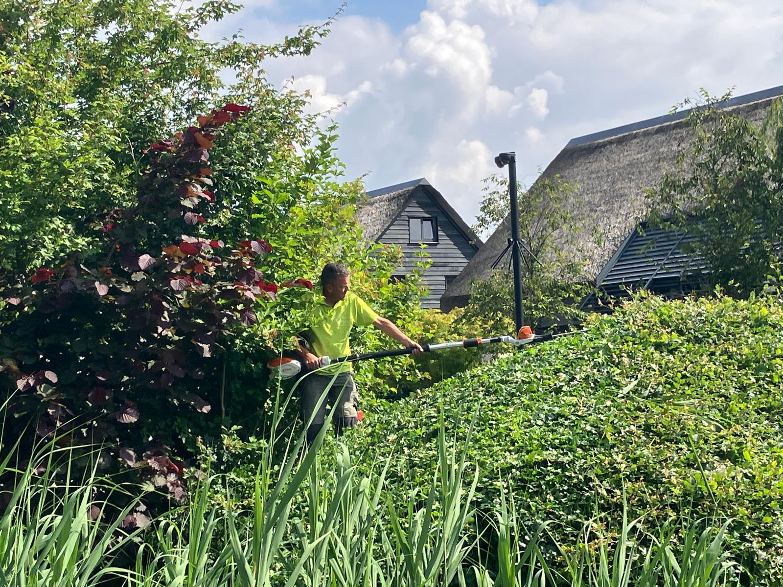 Afbeelding Uitgelichte producten Terralife & Terraboost