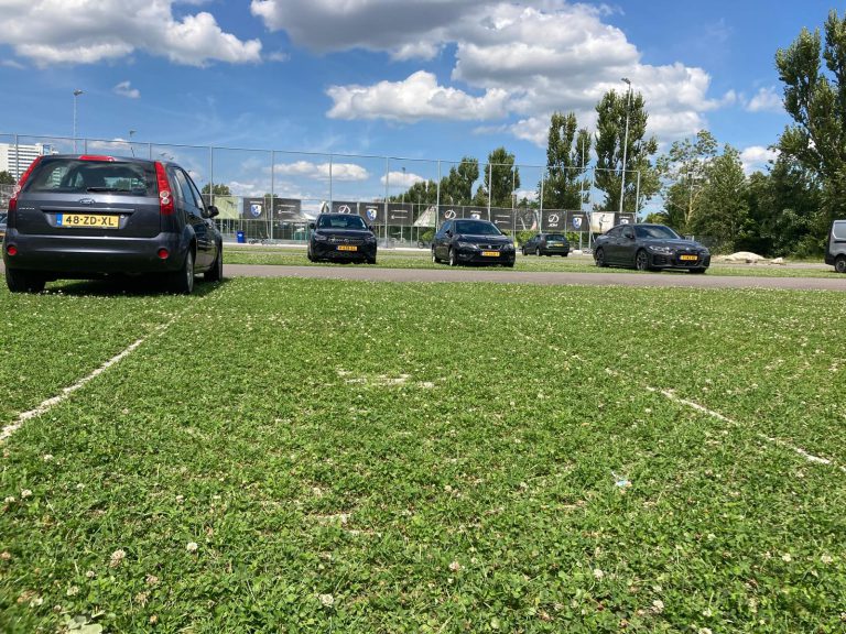 Afbeelding Ontwikkelingen in groene parkeerplaatsen