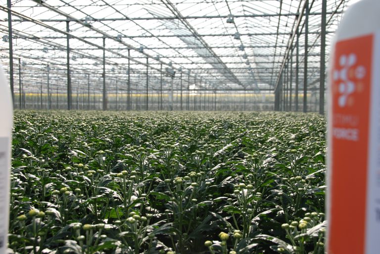 Afbeelding Resistentiemanagement en verantwoord gebruik insecticiden