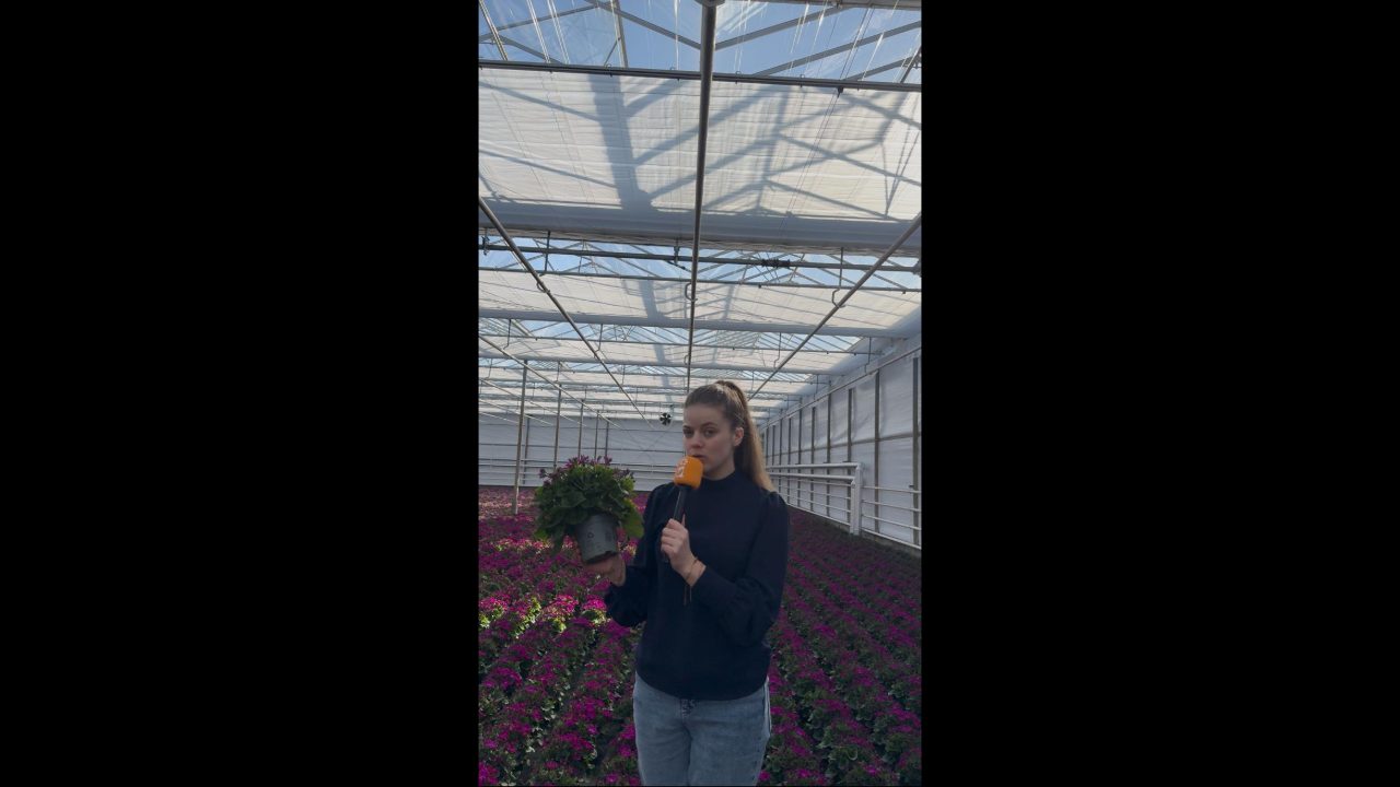 Afbeelding Meststoffen