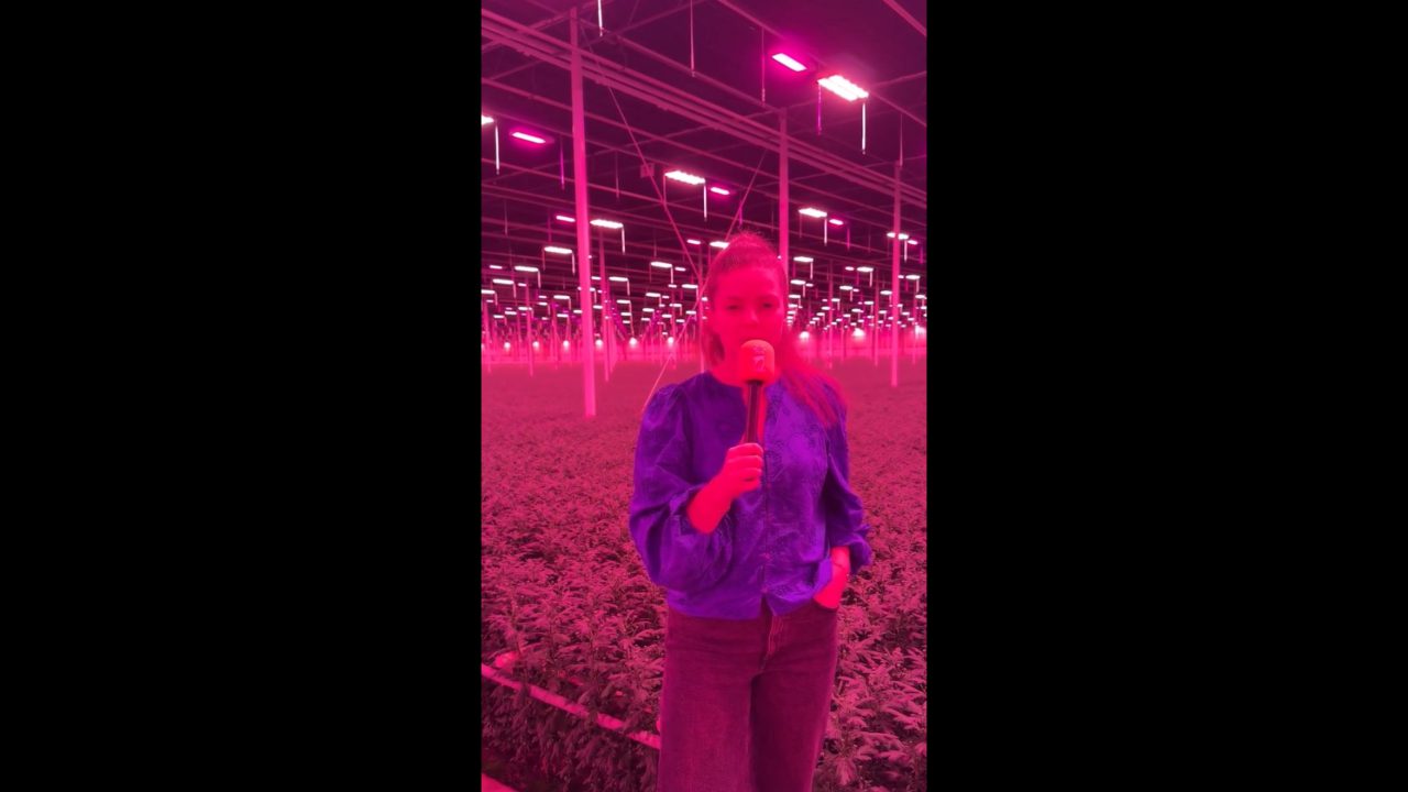 Afbeelding Meststoffen