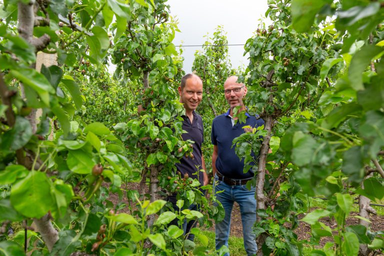 Afbeelding Samen sterk in fruit