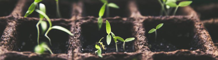 Afbeelding Sander Bijl: “Transport is bij mij met de paplepel ingegoten”
