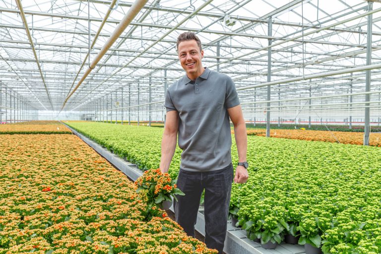 Afbeelding Hoe vier biostimulanten leidden tot 7,8% meer opbrengst