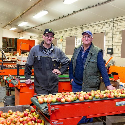 Afbeelding Nico en Jaap Slootweg: “Uitdaging om product van hoge kwaliteit te telen”