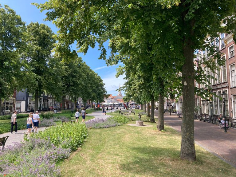 Afbeelding Folder Biologische plaagbestrijding
