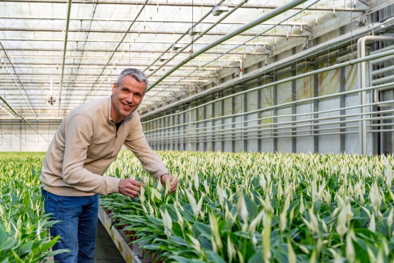 Afbeelding Een schone voorsprong begint bij water