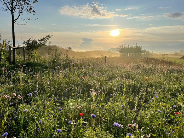Afbeelding Spuitlicentiebijeenkomst Groenvoorziening