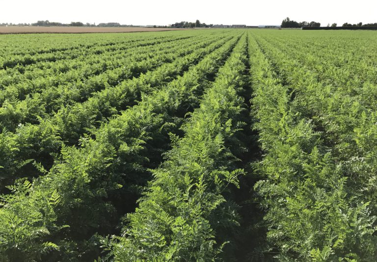 Afbeelding Aanvullende gegevens landbouwer (AGL) aanleveren