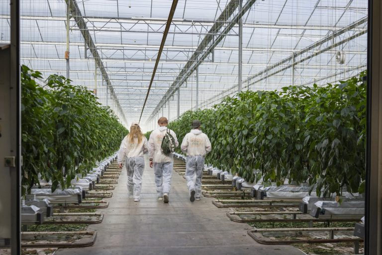 Afbeelding Expeditie Groei-expert
