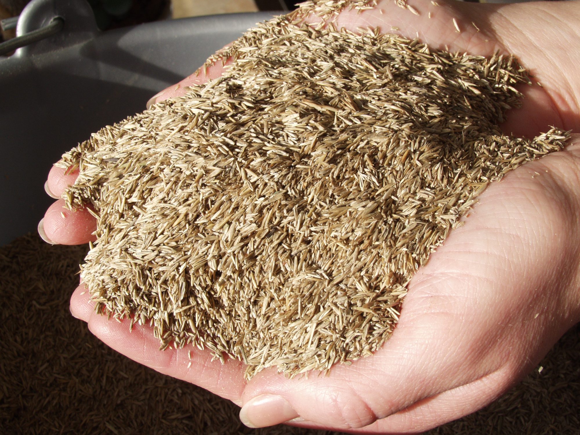 Afbeelding Belasting verhoging gras- en bloemzaden