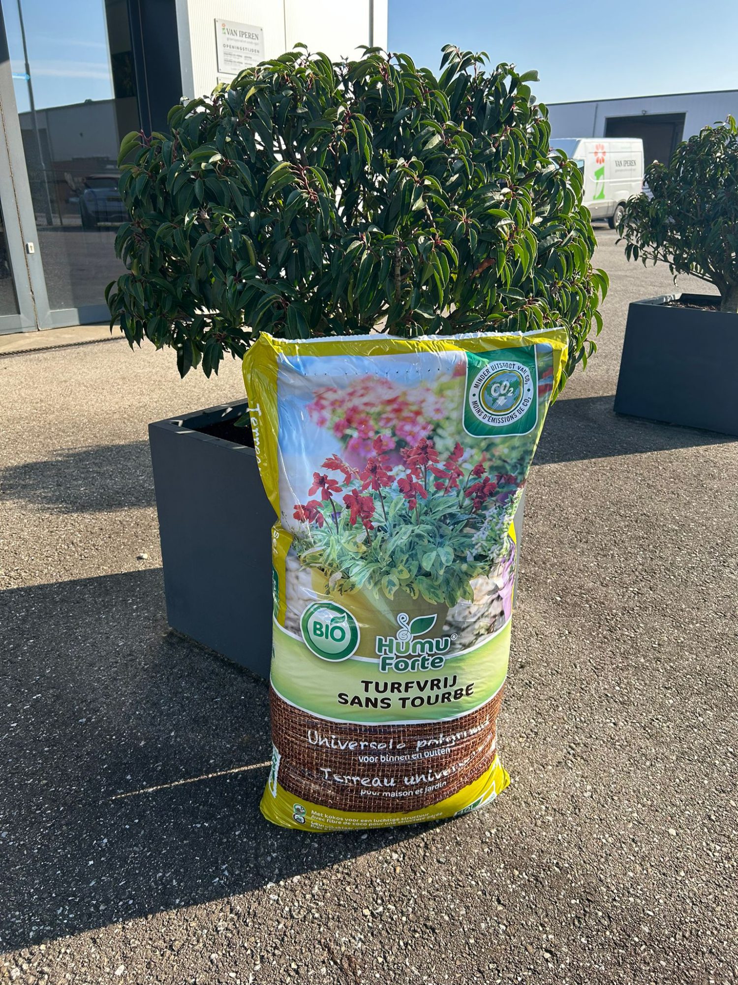 Afbeelding Turfvrij aanplant materiaal