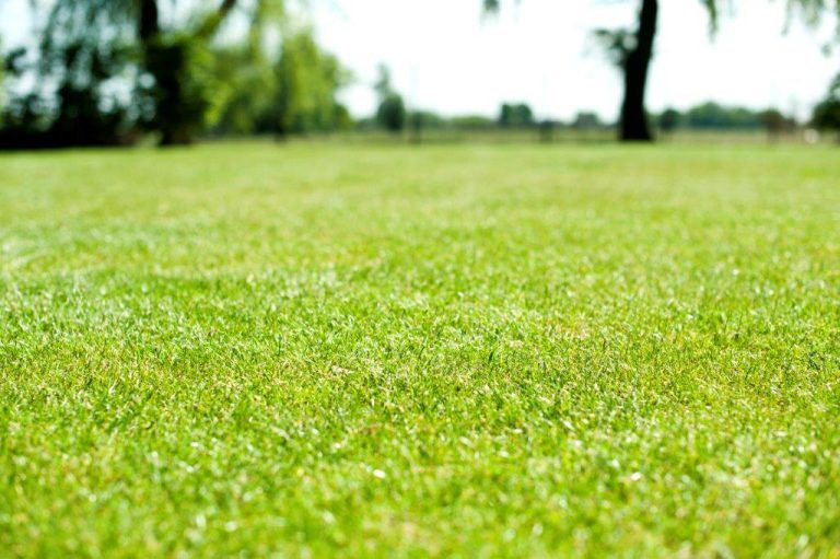 Afbeelding Beluchten, doorzaaien en bemesten