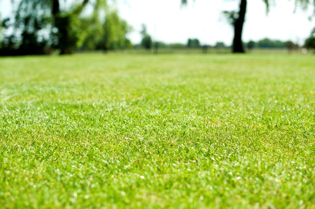 Afbeelding Beluchten, doorzaaien en bemesten