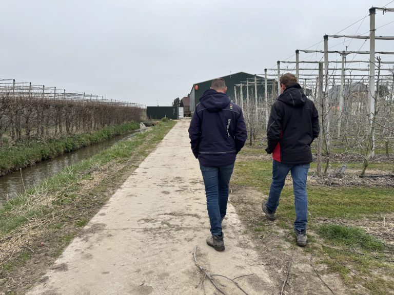 Afbeelding Rondje boomgaard | maart 2025