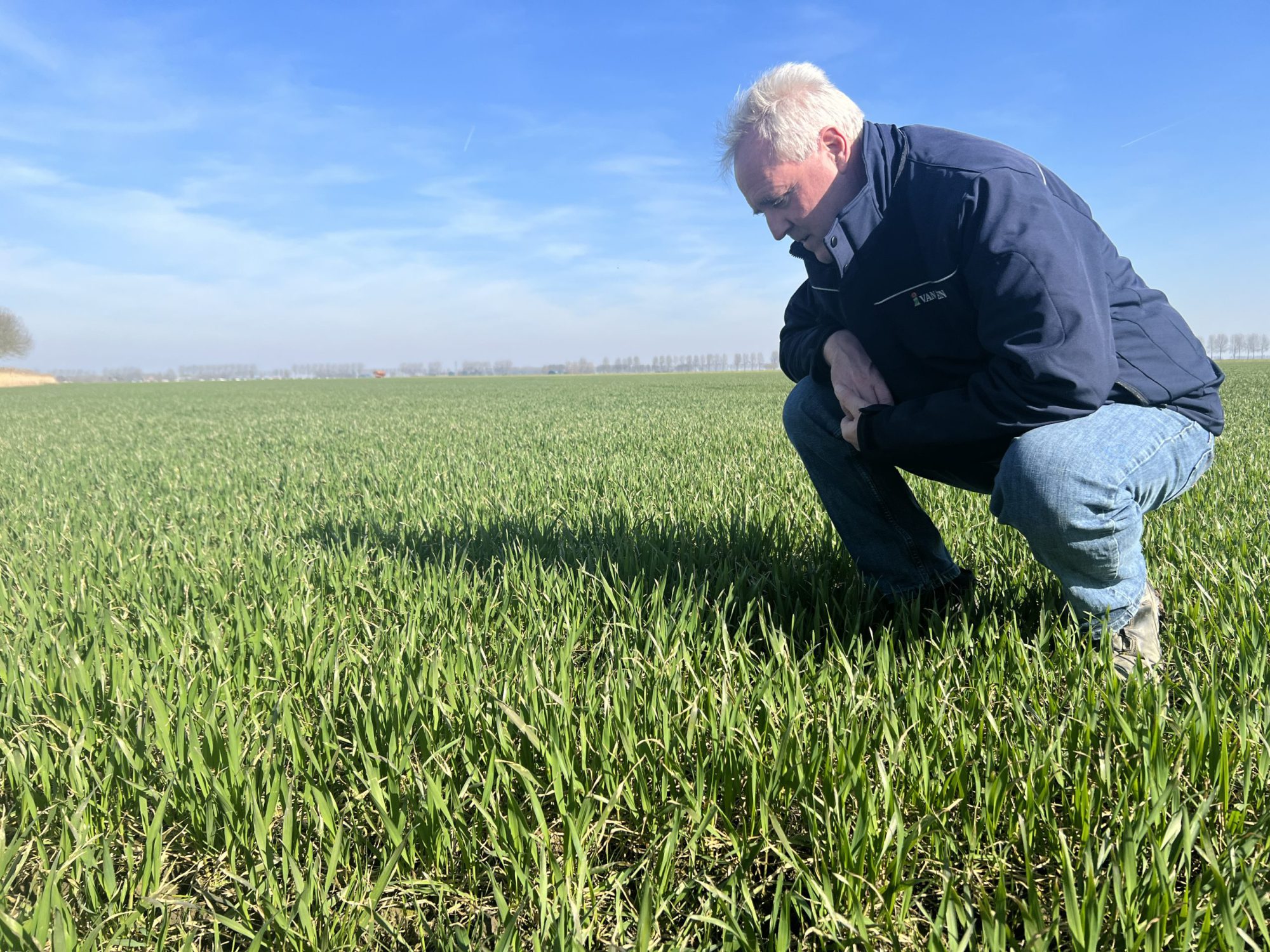 Afbeelding Uw gewassen goed gevoed en goed beschermd