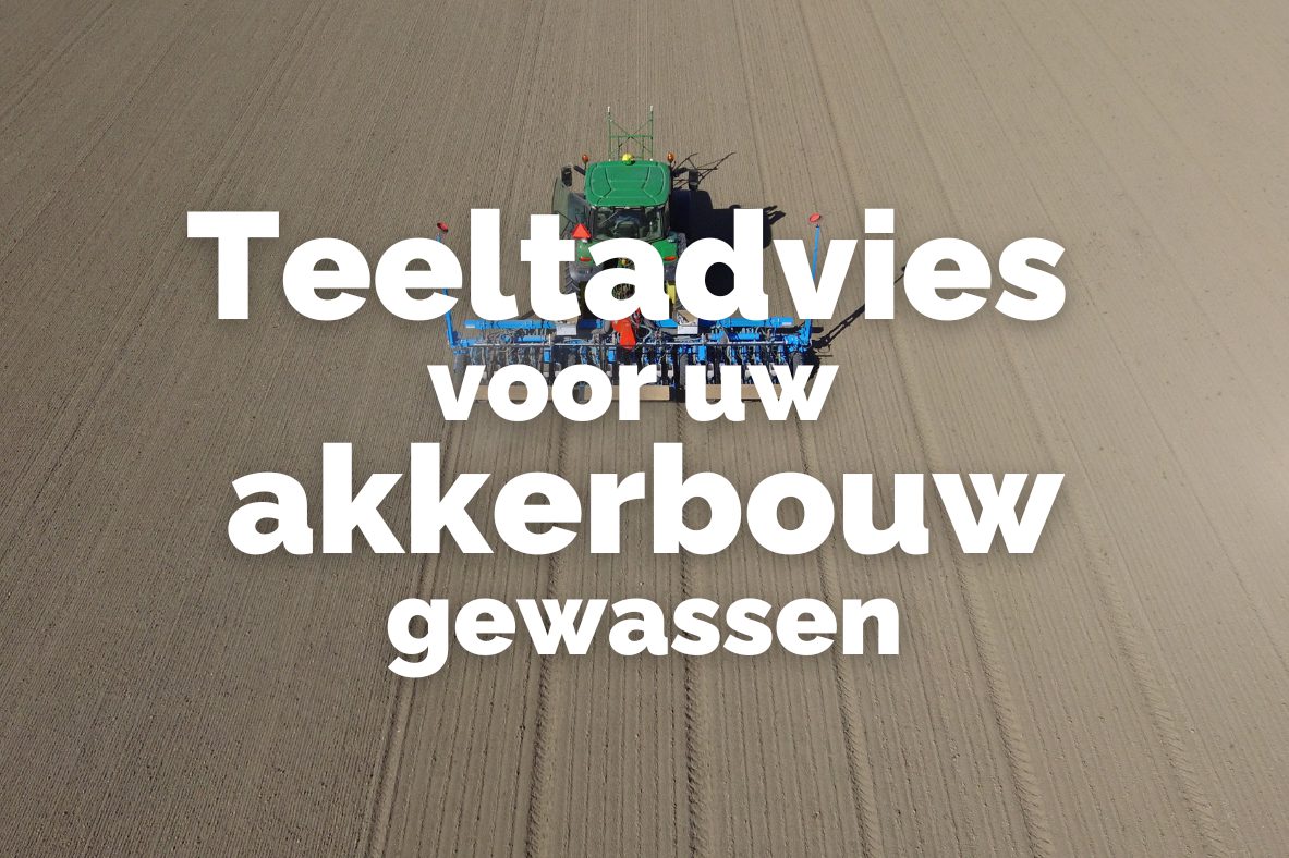 Afbeelding Teeltadvies 19 maart 2025