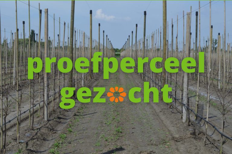 Afbeelding Plantgatbehandeling: proefperceel gezocht!