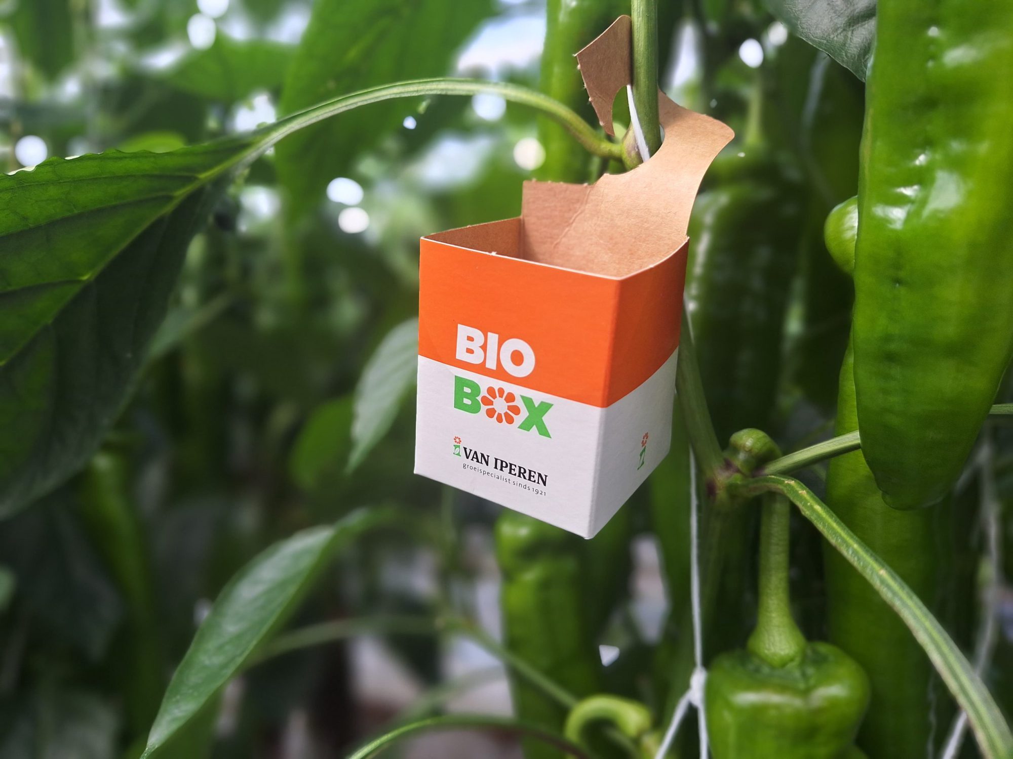 Afbeelding Inzet biologie tijdens warme dagen