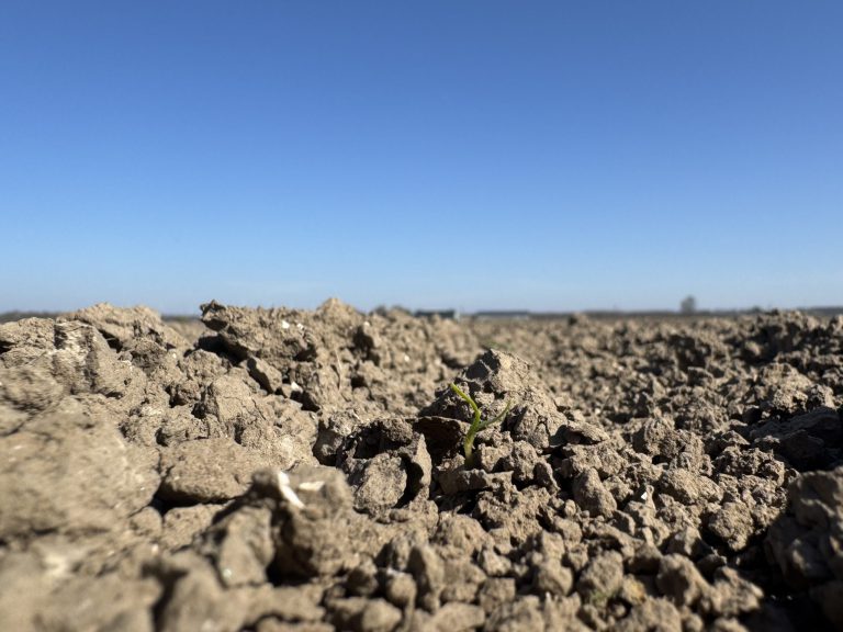 Afbeelding Uw gewassen goed beschermd – gewasupdate