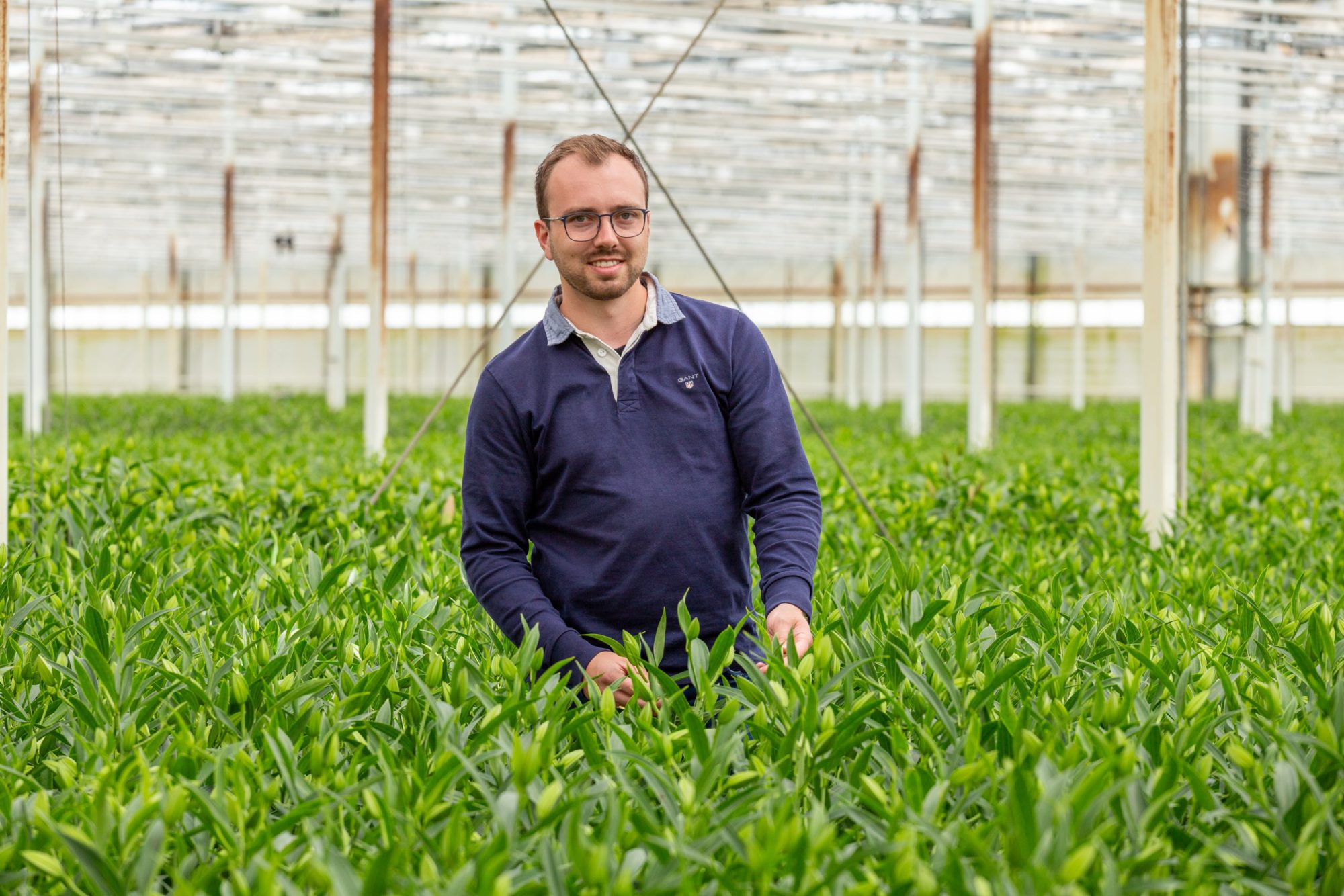 Afbeelding Specialist Bloembollenteelt