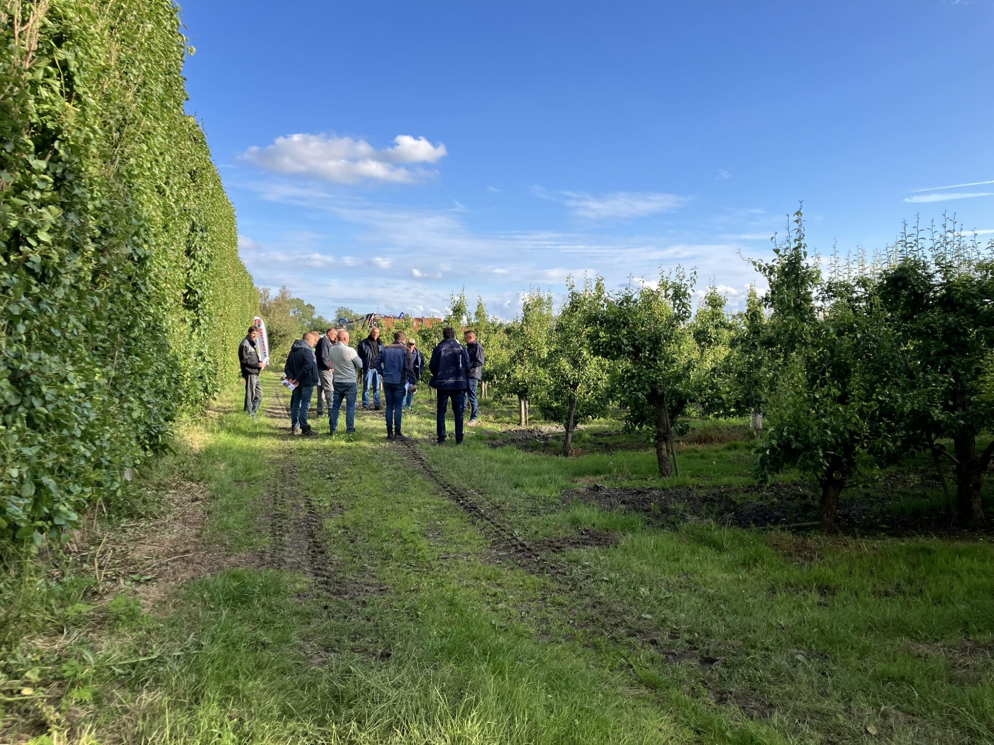 Afbeelding Fruitteeltbijeenkomst op 9 juli