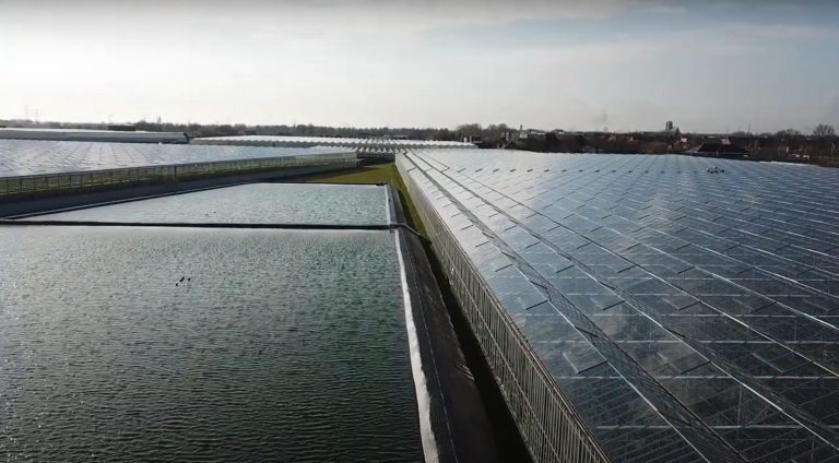 Afbeelding Droogte! Pas uw bemestingsschema aan op het uitgangswater