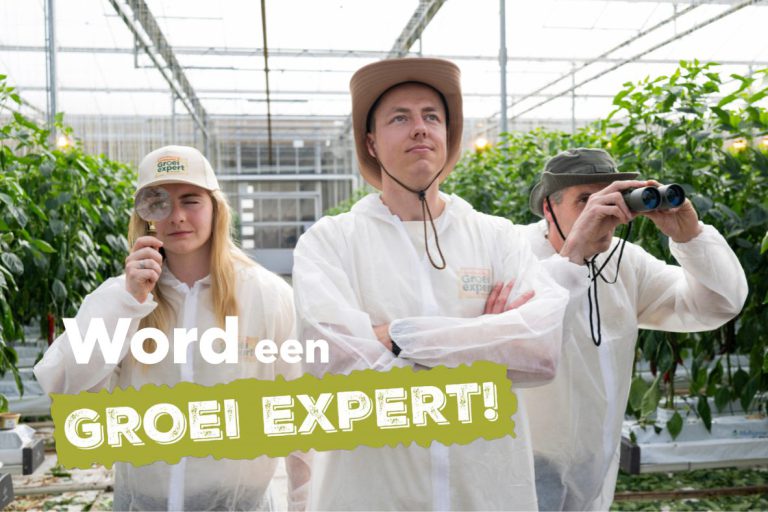 Afbeelding Komkommerdag