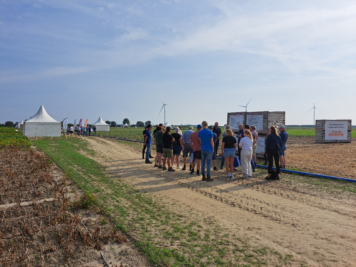 Afbeelding Uiendag | Colijnsplaat