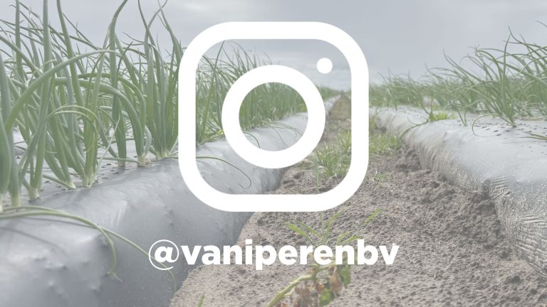 Afbeelding Uiendag | Colijnsplaat