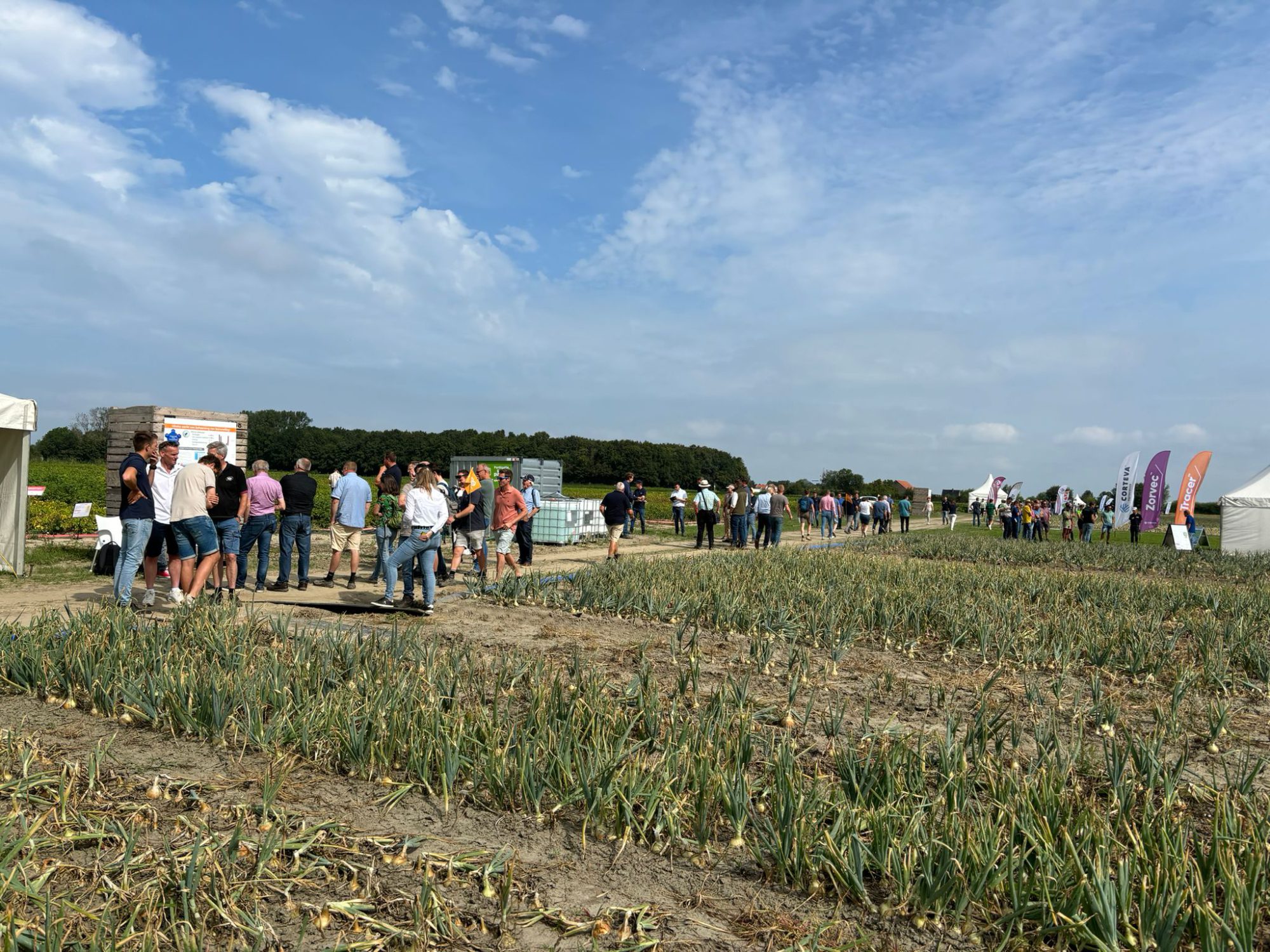 Afbeelding Uiendag | Colijnsplaat