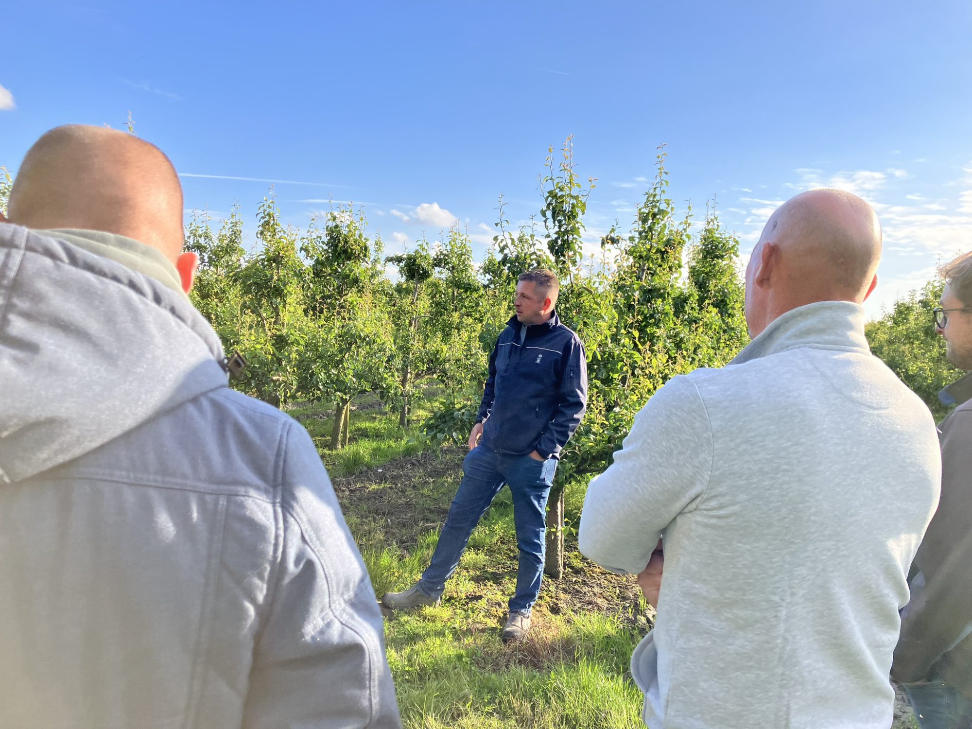 Afbeelding Fruitteeltbijeenkomst op 9 juli