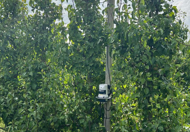 Afbeelding Minder vaak druppelen met meer water geeft betere vochtverdeling