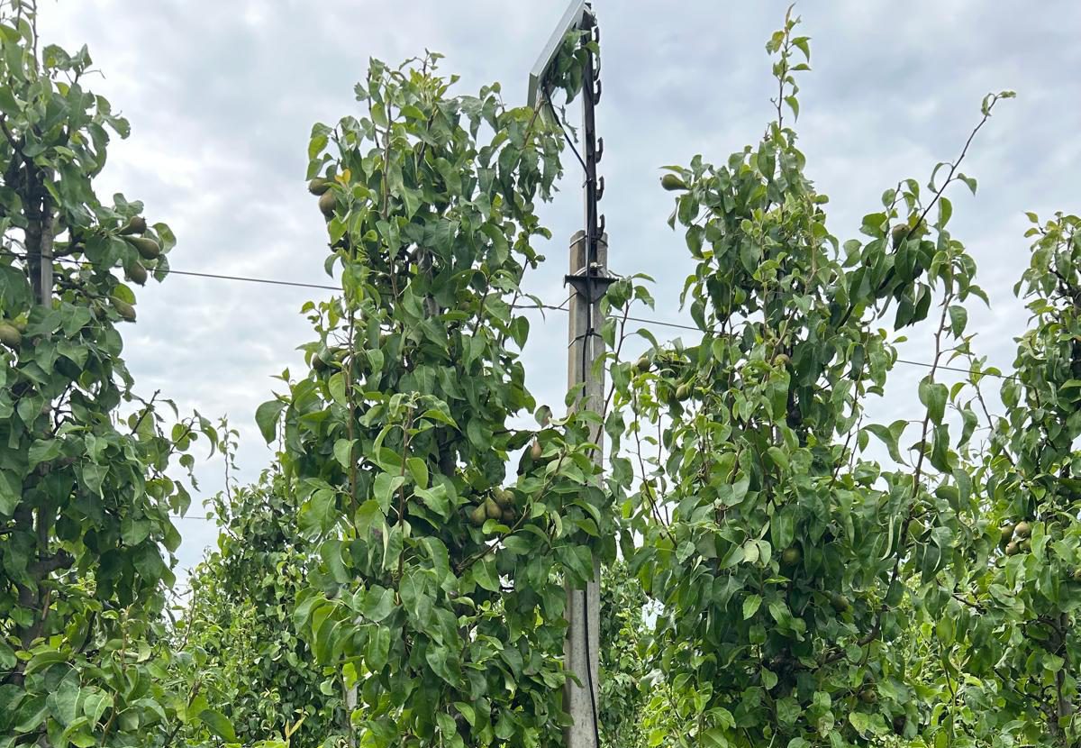 Afbeelding Update bodemsensoren proef