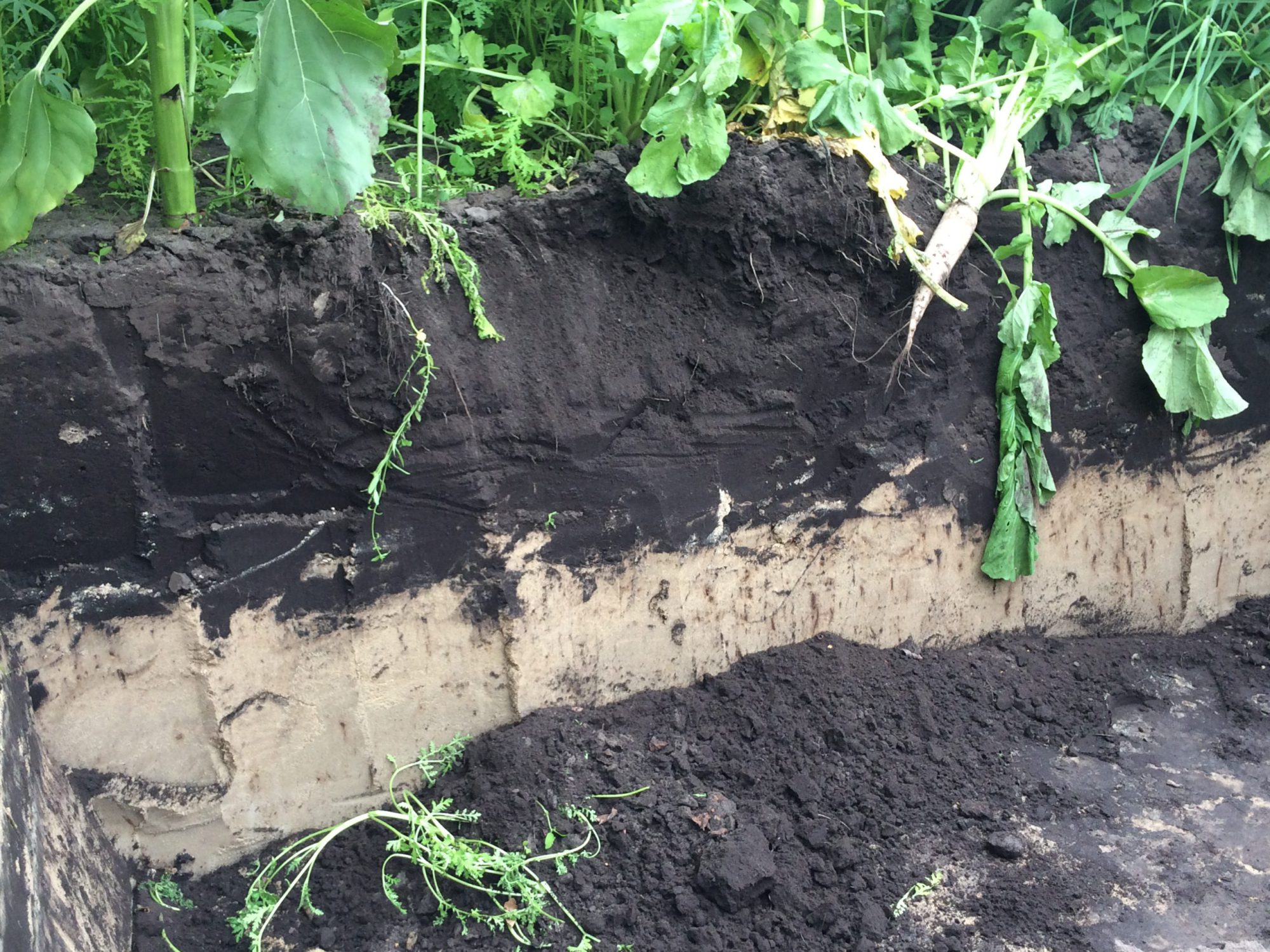 Afbeelding Twee nieuwe bodemhandboeken in samenwerking met o.a. WUR, Aeres Hogeschool en HAS Hogeschool
