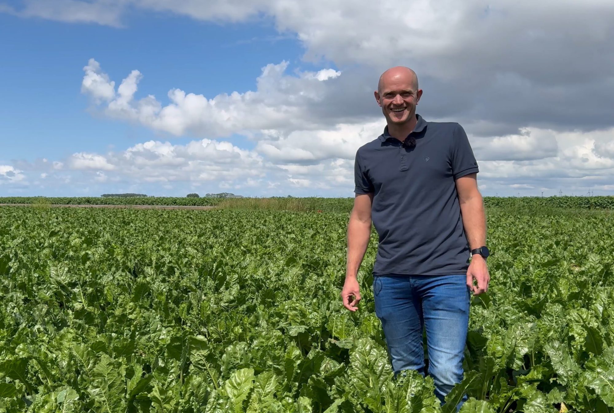 Afbeelding Uw gewassen goed beschermd – gewasupdate juli