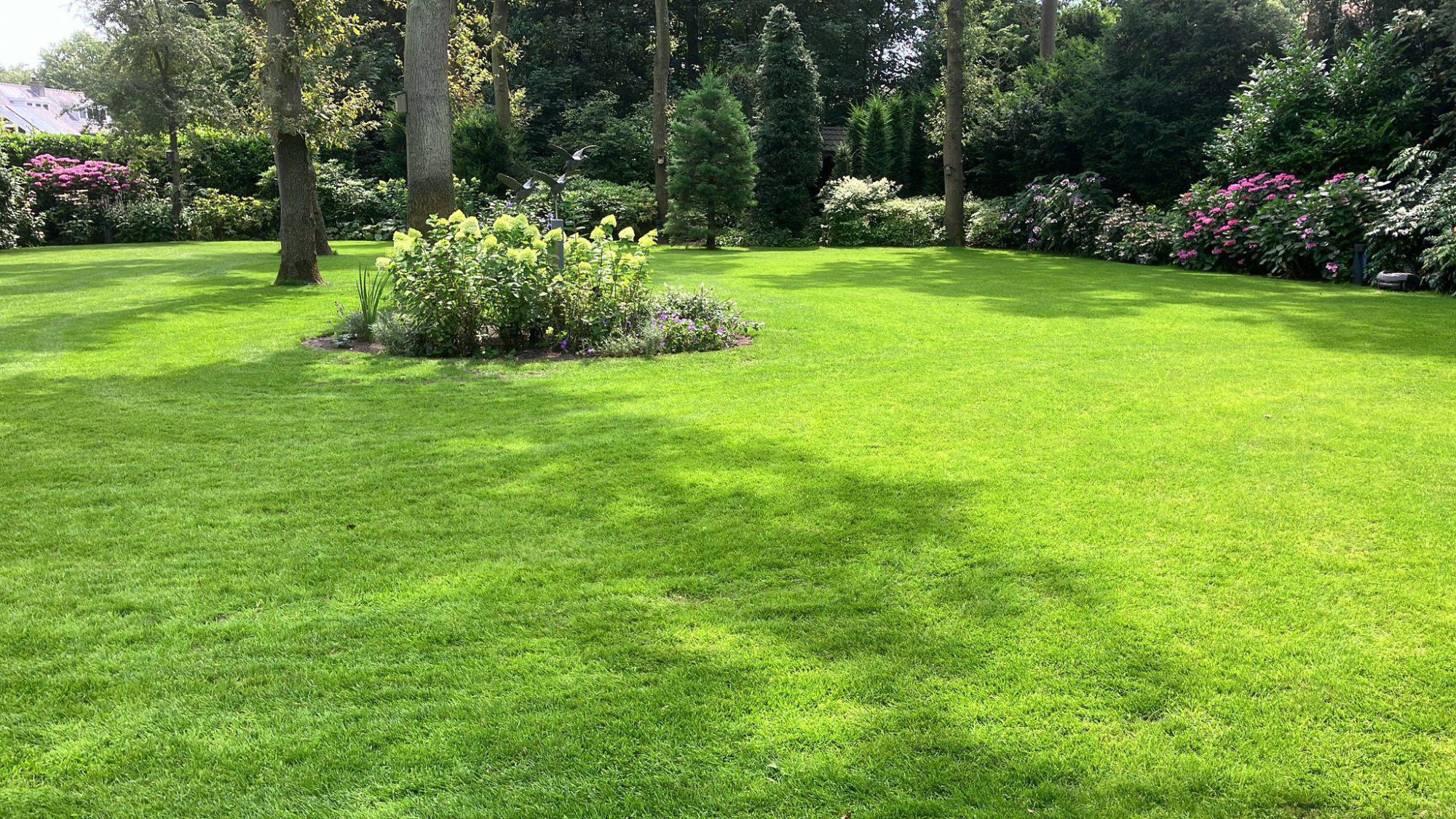 Afbeelding Schaduwmengsel Silhouette