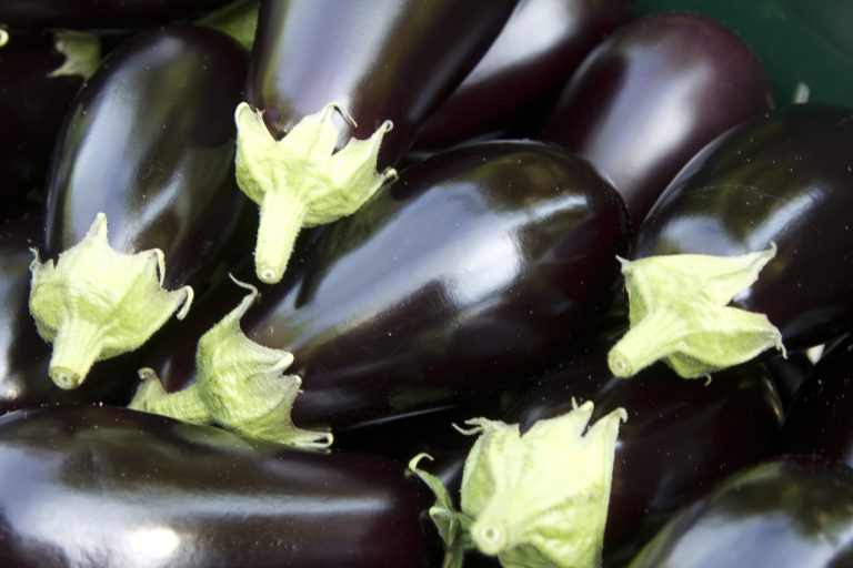 Afbeelding 100% Groen Geteeld: lessen van vorig jaar