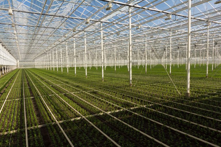 Afbeelding Spuitlicentiebijeenkomst Tuinbouw | Veiligheid en Techniek | Bommelerwaard