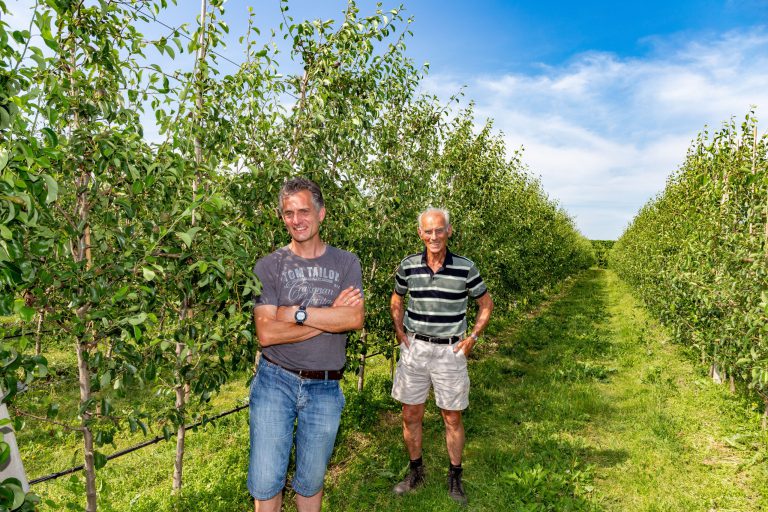Afbeelding “Fruitteelt is er met de paplepel ingegoten”