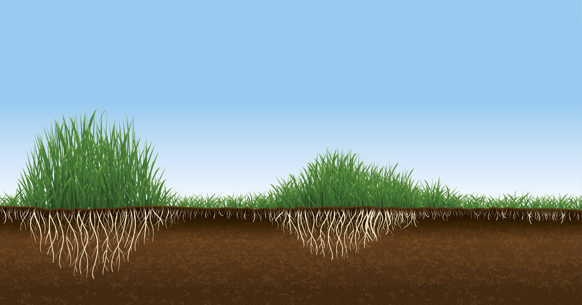 Afbeelding De kracht van het moment